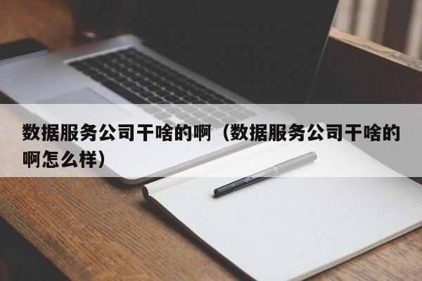 乐鱼官网-数据服务公司干啥的啊（数据服务公司干啥的啊怎么样）